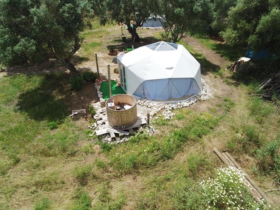 Forest Domes Setúbal Dış mekan fotoğraf